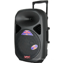 12 Inch Trolley Stage Speaker with 6600mAh Lithium Battery F28